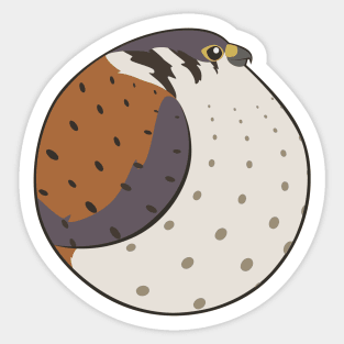 Bird Balls - Kestral Sticker